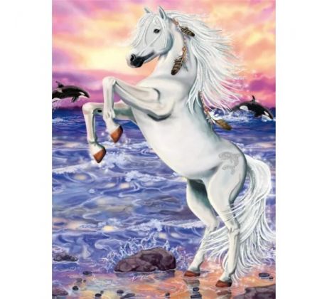 Diamantové maľovanie Biely kôň 1