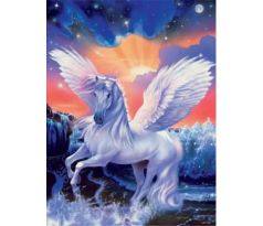 Diamantové maľovanie Biely kôň 4