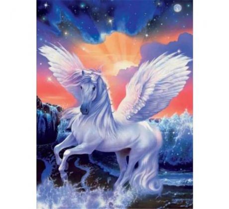 Diamantové maľovanie Biely kôň 4