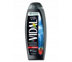 Vidal Sprchový gel Ginseng e Guarana 250 ml
