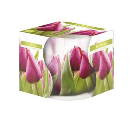 Bispol Tulipán vonná sviečka v skle 100g