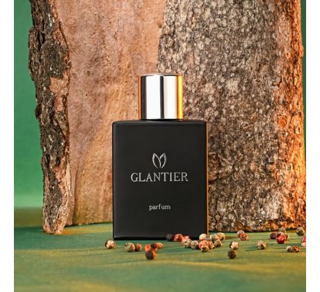 Glantier Premium 728 drevito-korenistý parfum pánsky 50 ml