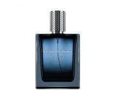 Harmoniq Men Tempest parfumovaná voda pánska 100 ml