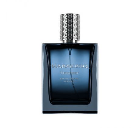 Harmoniq Men Tempest parfumovaná voda pánska 100 ml