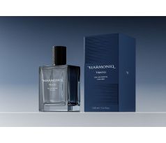 Harmoniq Men Vento parfumovaná voda pánska 100 ml