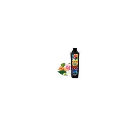 Dedra Ł'Avivage Avivážny kondicionér NAMASTÉ 750 ml 25 PD