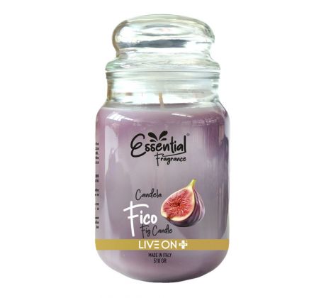 Essential Fragrance Figa vonná sviečka v skle 510g