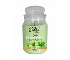 Essential Fragrance Bergamot & Mäta vonná sviečka v skle 510g